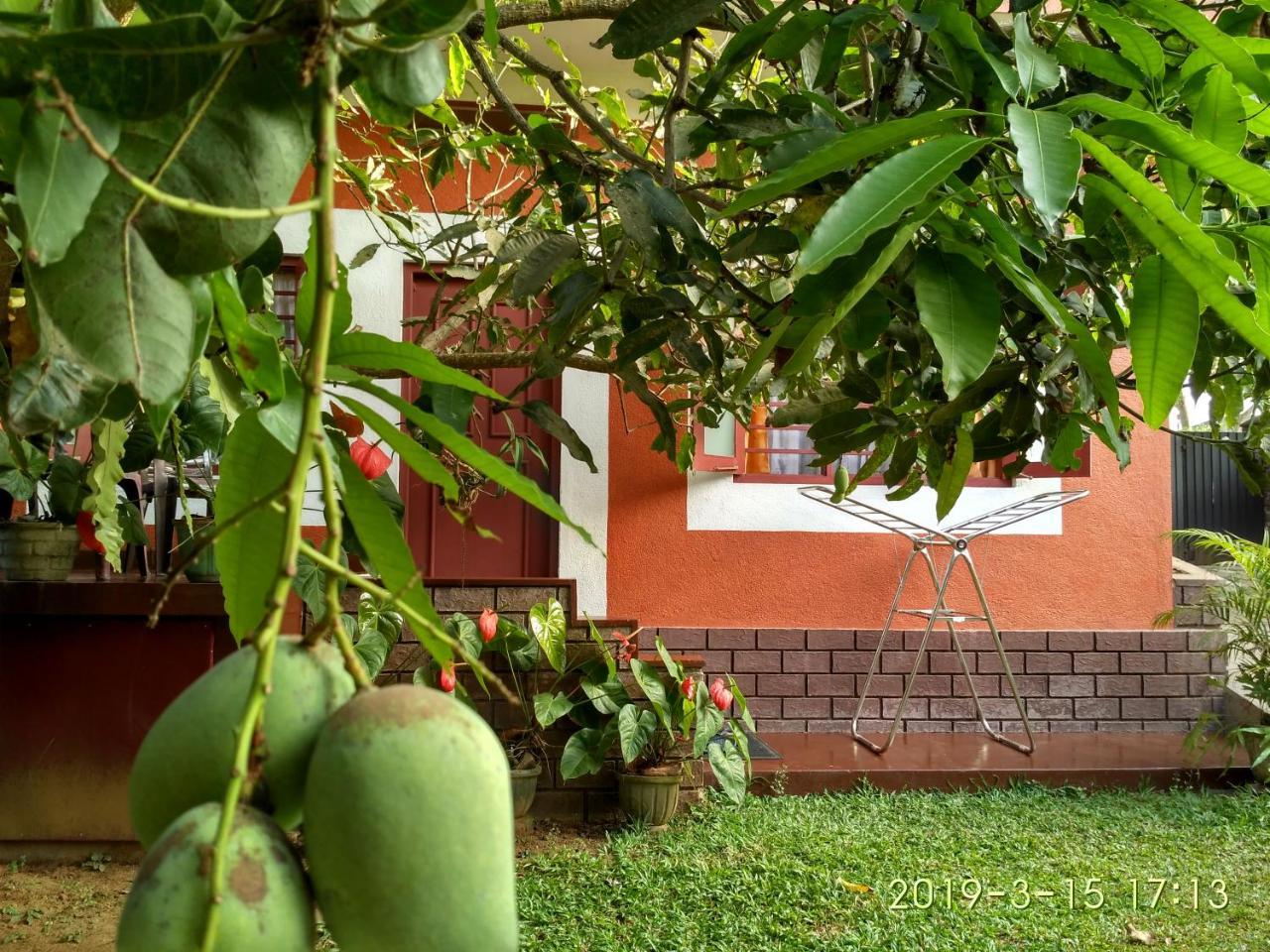 Nilas Guesthouse ヒッカドゥワ エクステリア 写真