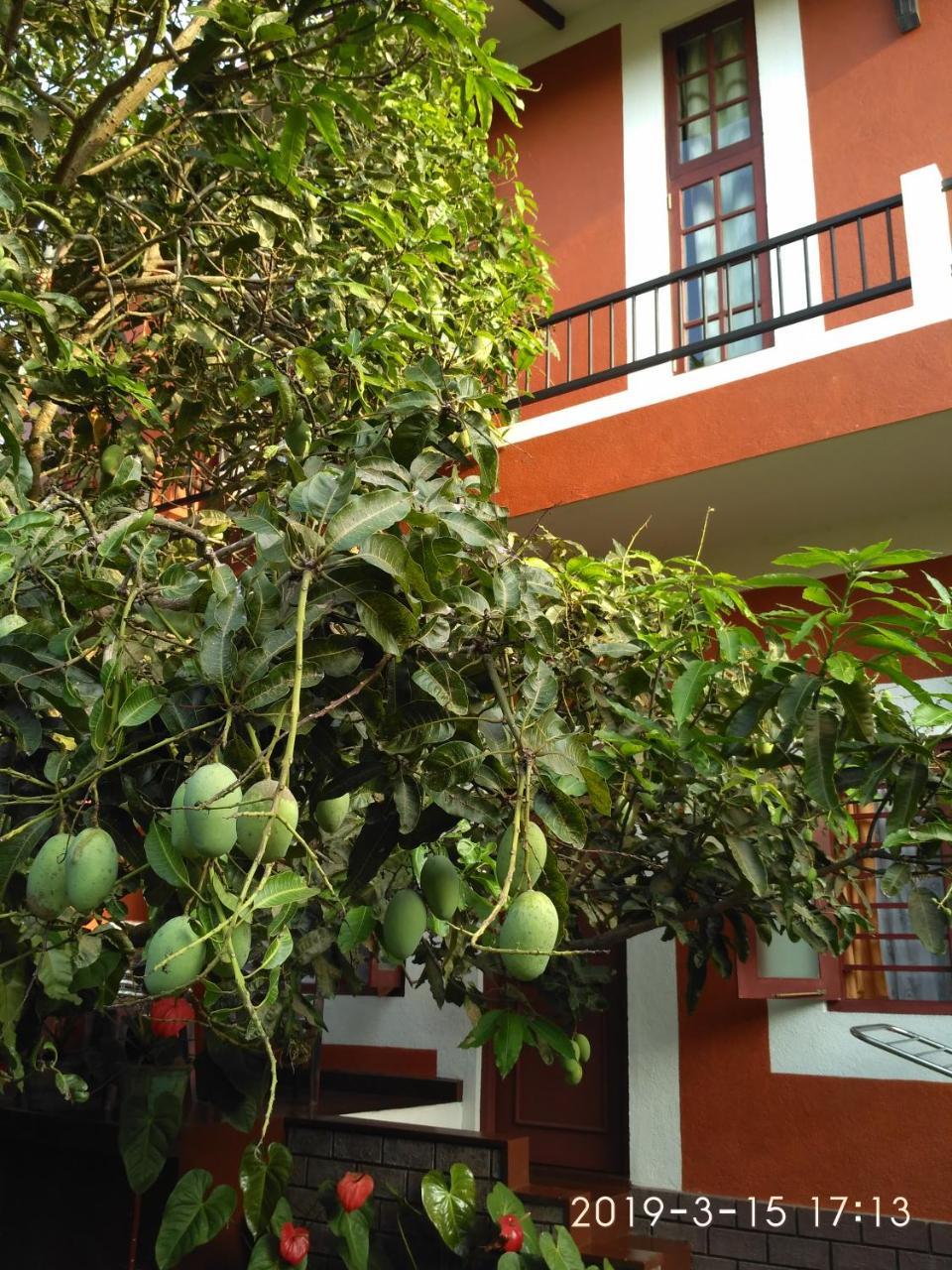 Nilas Guesthouse ヒッカドゥワ エクステリア 写真